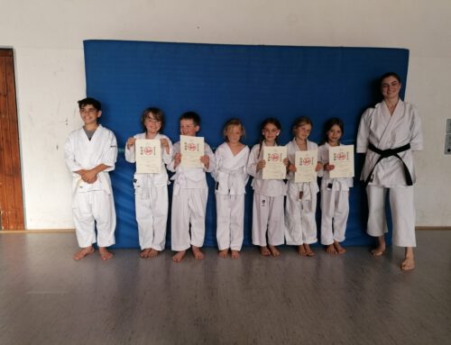 Karate Kids: Prüfung zum 9. Kyu